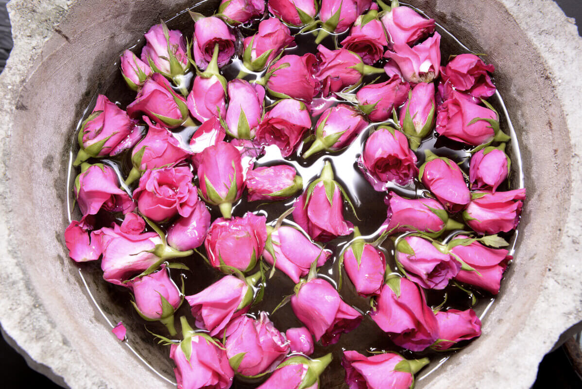 Pink roses floating in water in a stone basin.